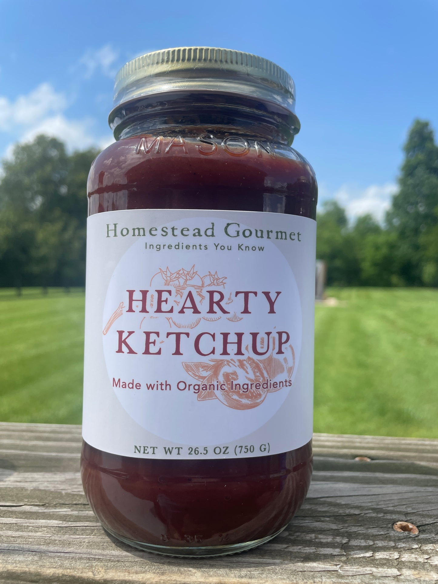 Hearty Ketchup
