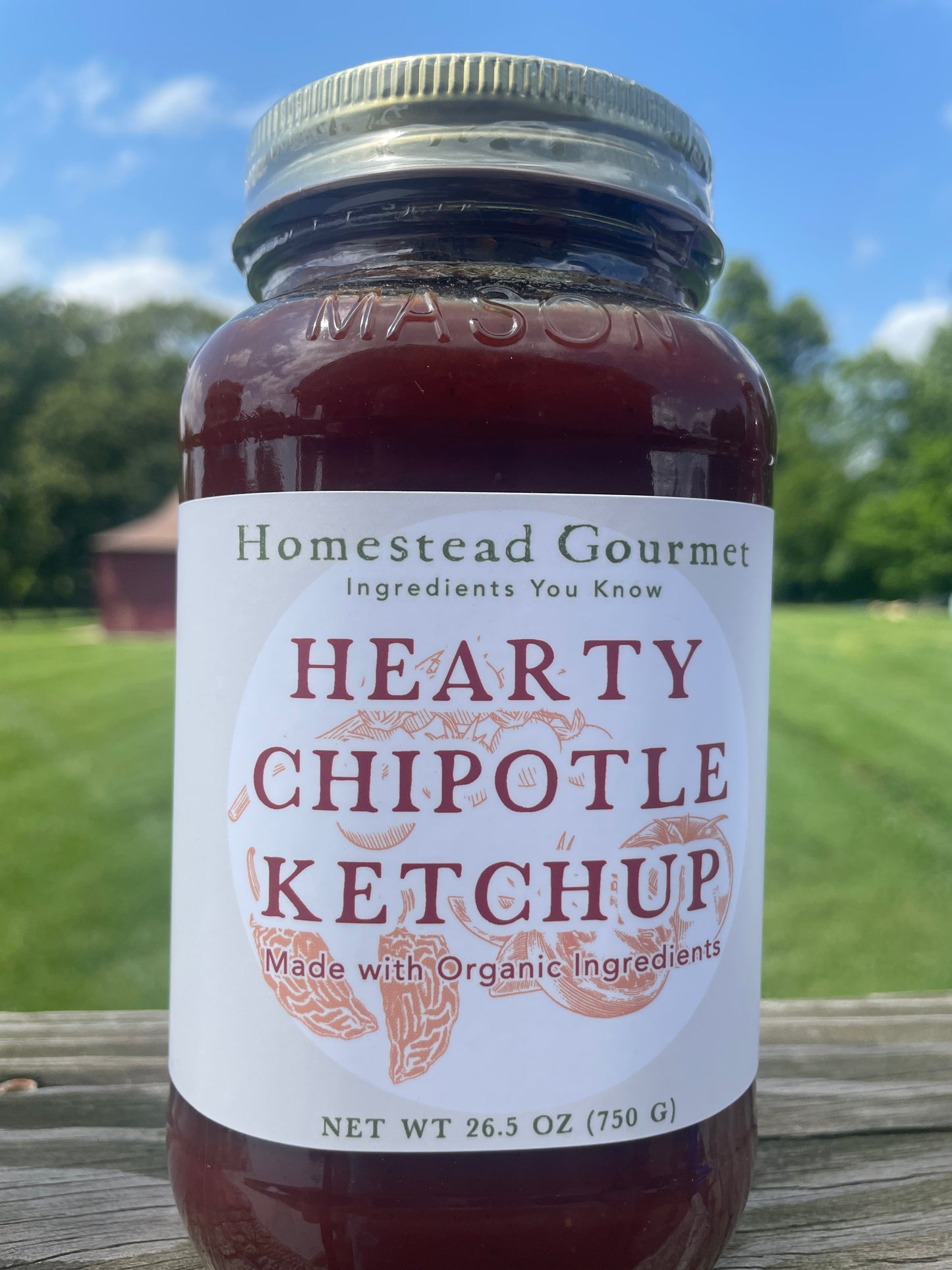Chipotle Ketchup